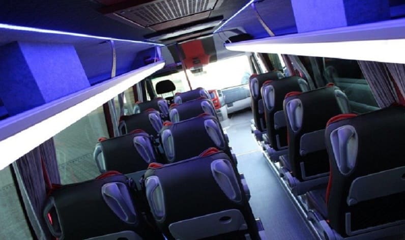 Vojvodina: Coach rent in South Bačka District in South Bačka District and Novi Sad